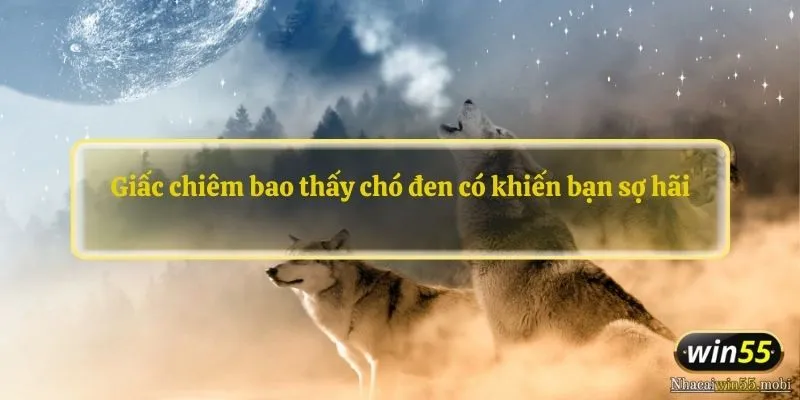 Giấc chiêm bao thấy chó đen có khiến bạn sợ hãi