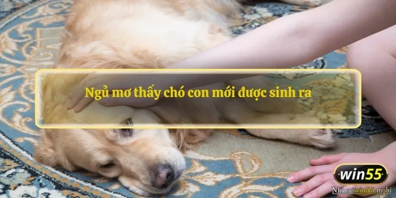 Ngủ mơ thấy chó con mới được sinh ra